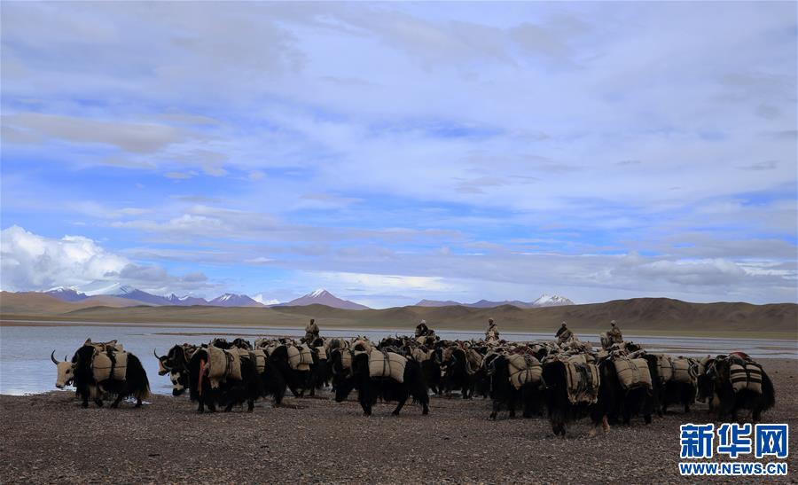 (專發新華網西藏頻道)（圖文互動）天邊的馱鹽隊——藏北牧人遠去的背影(3)