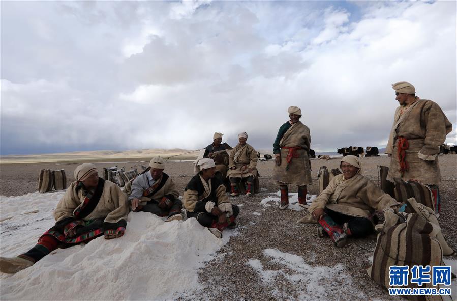 (專發新華網西藏頻道)（圖文互動）天邊的馱鹽隊——藏北牧人遠去的背影(15)