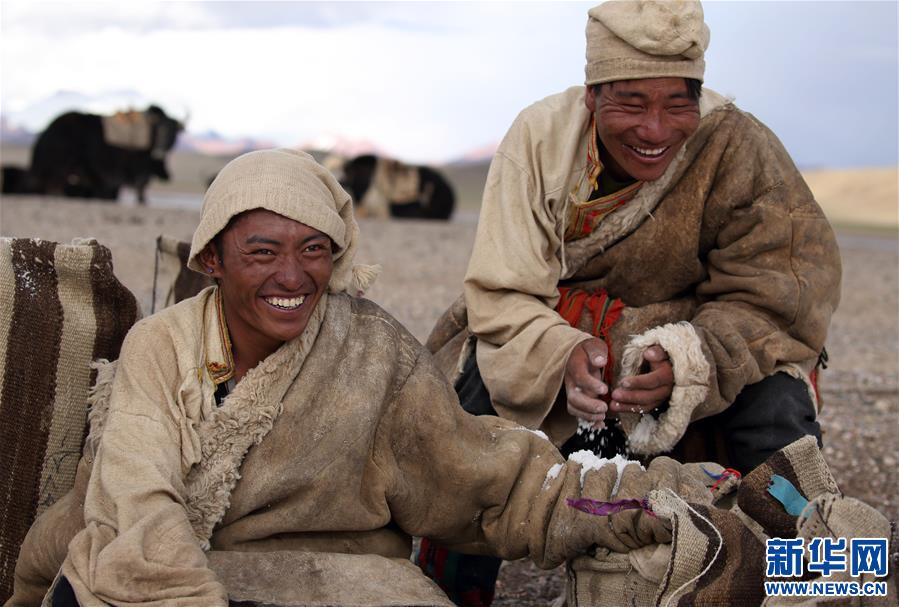 (專發新華網西藏頻道)（圖文互動）天邊的馱鹽隊——藏北牧人遠去的背影(16)