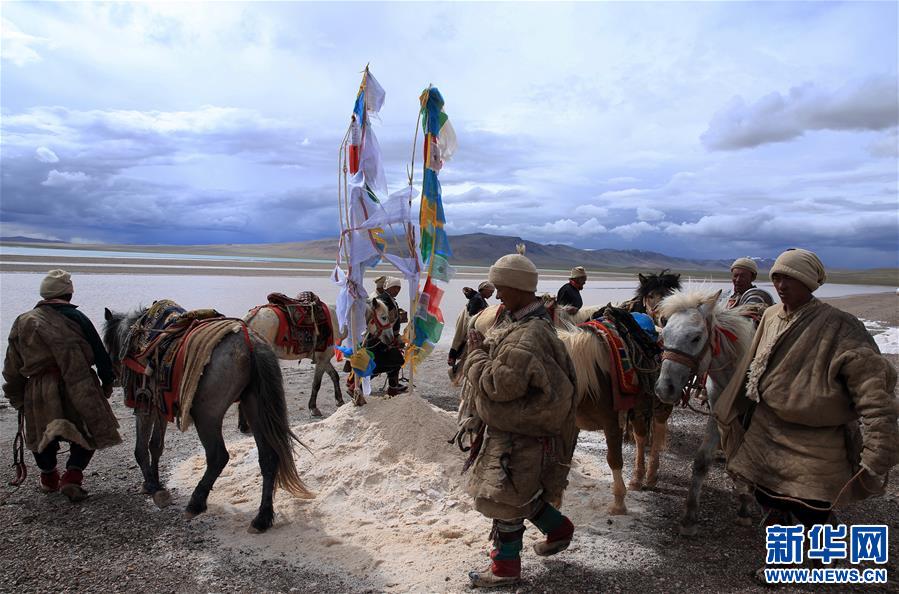 (專發新華網西藏頻道)（圖文互動）天邊的馱鹽隊——藏北牧人遠去的背影(20)