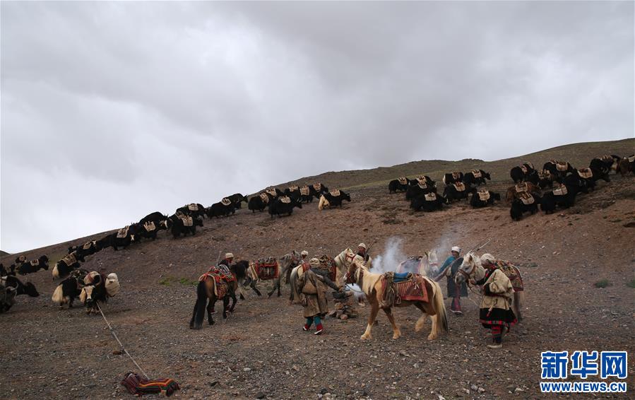 (專發新華網西藏頻道)（圖文互動）天邊的馱鹽隊——藏北牧人遠去的背影(22)