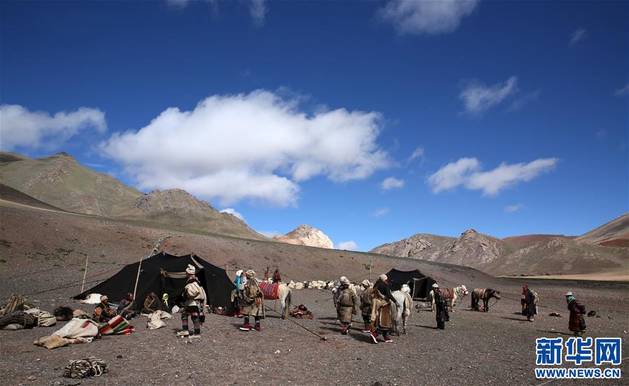 (專發新華網西藏頻道)（圖文互動）天邊的馱鹽隊——藏北牧人遠去的背影(24)
