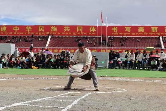 8e559e20a3b0e859fc6adda758c72608