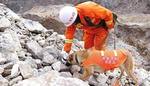 Landslide rescue work continues in Tibet