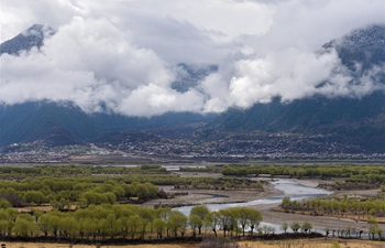 Spring scenery at Yani national wetland park in Nyingchi, Tibet