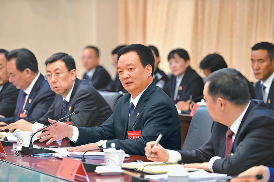 王君正参加山南代表团讨论党代会报告