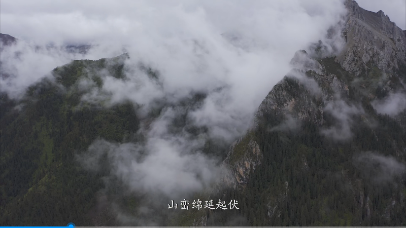 第二届中国西藏网络影像节丨视频类优秀奖：探秘藏东后花园类乌齐