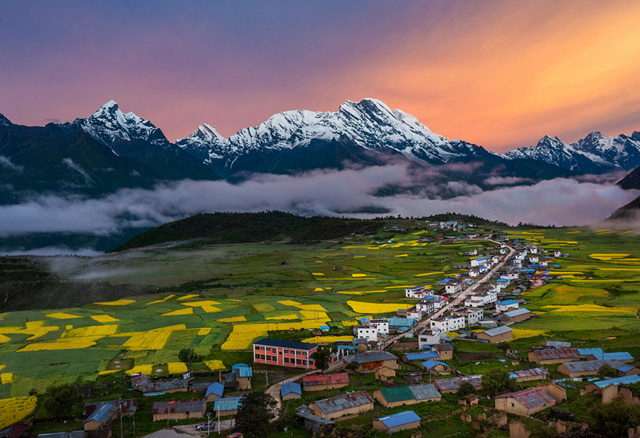 第二届中国西藏网络影像节丨图片类金奖：乡村振兴走在前