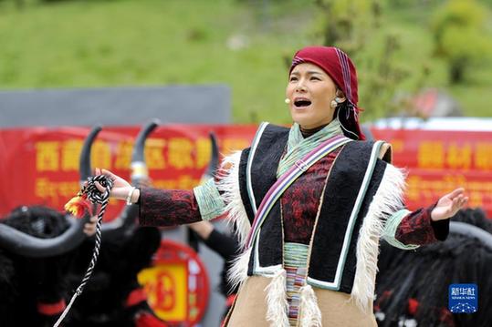 首屆西藏文化藝術節將于7月中旬開幕