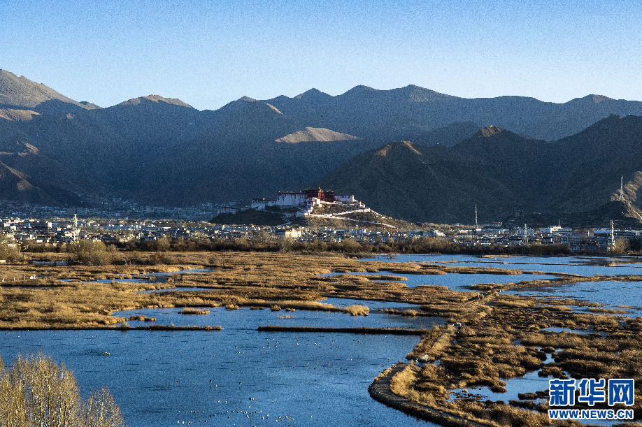 世界湿地日 | 西藏拉鲁湿地:绿色发展绽放生态之美