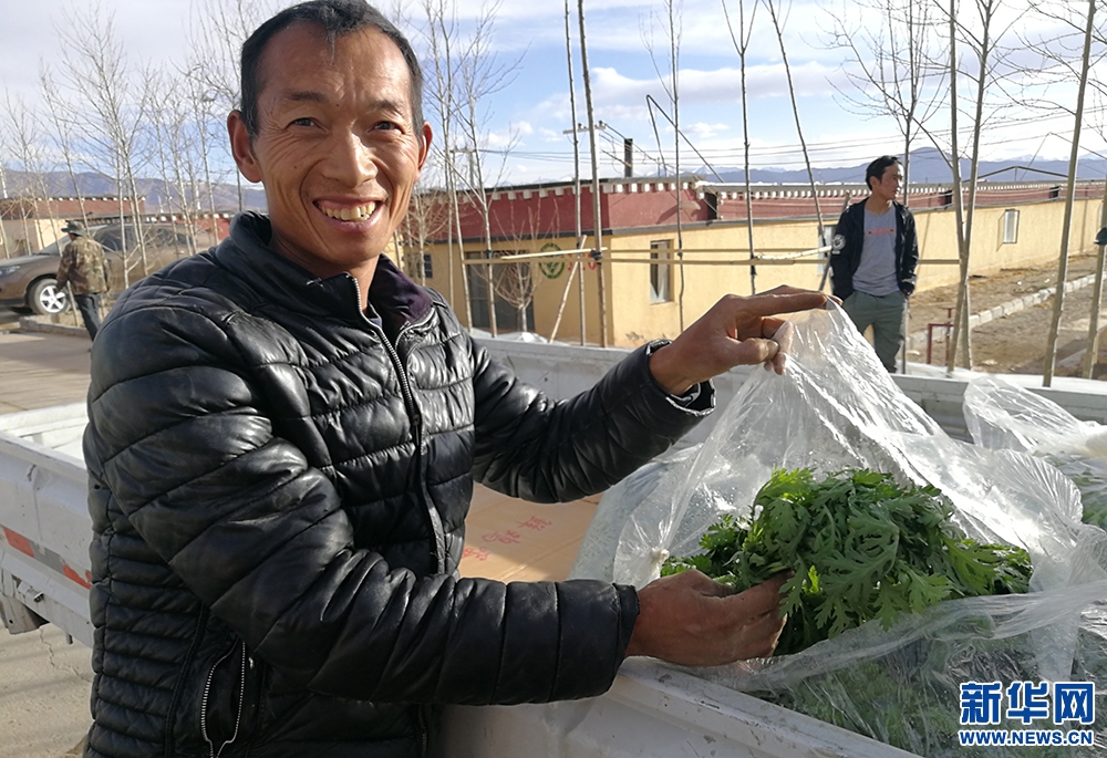 【新時代·幸福美麗新邊疆】西藏阿裏：生命禁區種出民生蔬果