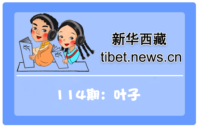 藏语小百科114期：叶子（微视频）